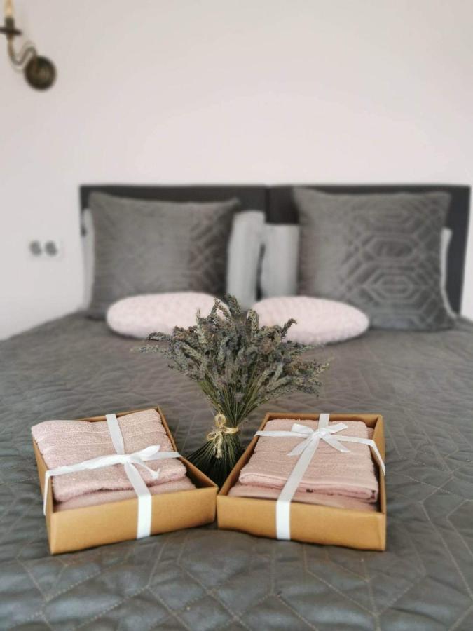Appartements Vallee Verte Razac-sur-l'Isle Bagian luar foto